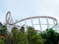 Experience the Thrills and Excitement at Six Flags
