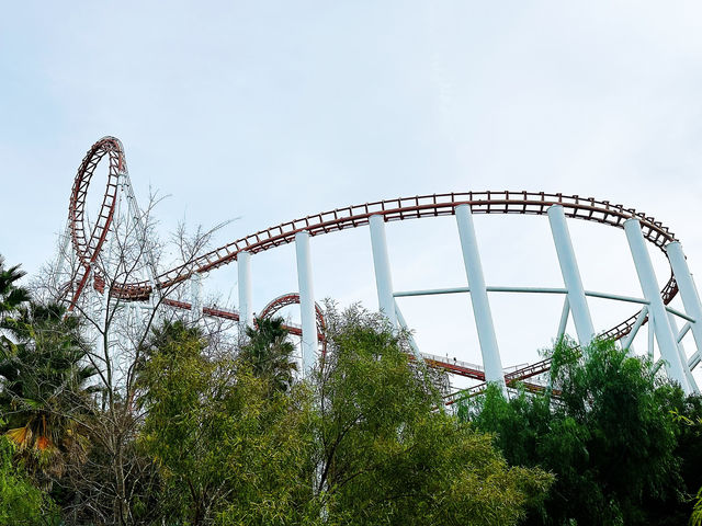 Experience the Thrills and Excitement at Six Flags