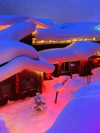 3日暢遊哈爾濱-雪鄉 探秘冬日森林奇境