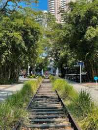 #中山市岐江公園的迷人風采