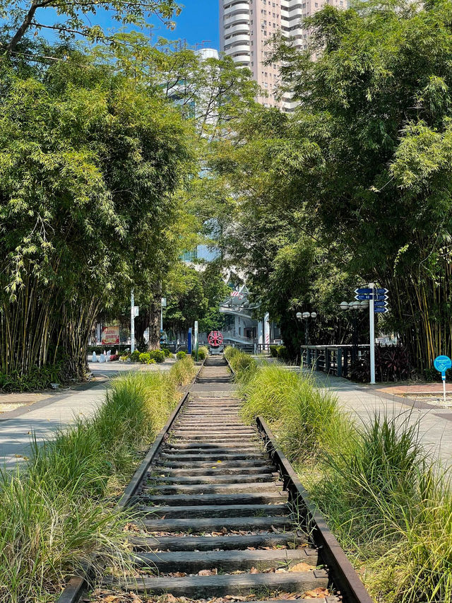 #中山市岐江公園的迷人風采