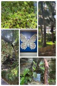 冬日裏的太原植物園