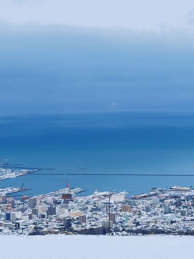 4天暢遊日本 玩轉經典與熱門風景