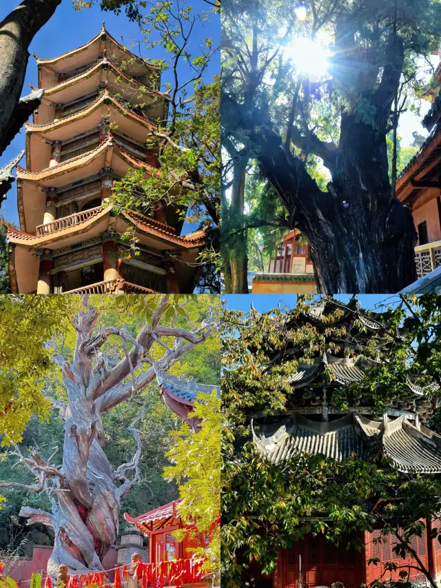 3-Day 2-Night Xichang Travel Guide