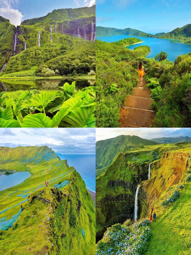 聖米格爾島：大西洋上的神秘花園