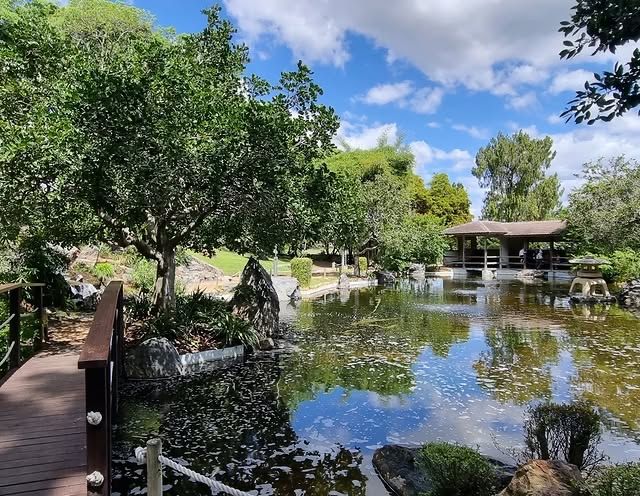 澳洲洛克咸頓植物園：大自然的綠色天堂 