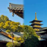 上海小眾秘境｜不在京都！這座寶藏寺廟美到讓人忘記時間