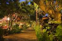 塔曼哈魯姆小屋酒店｜寧靜綠洲