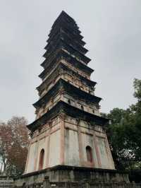 南充市區｜小眾旅遊果然好正！