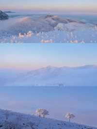 Discover the Secret to Stunning Cloud Seas at White Wugong Mountain!