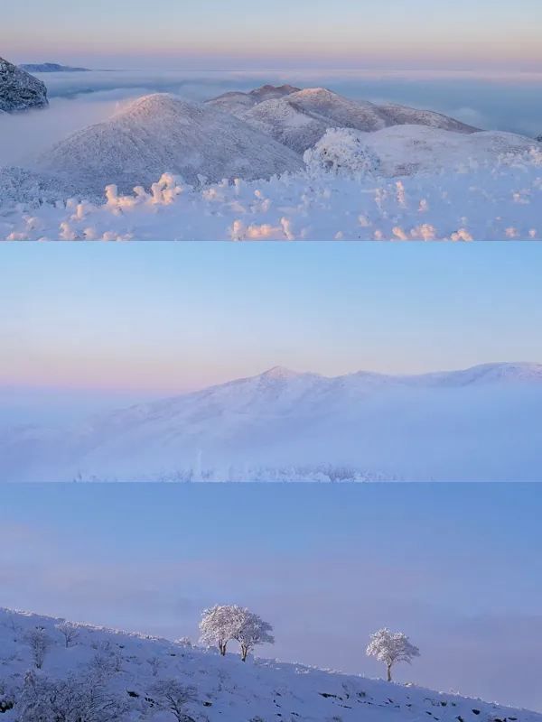 Discover the Secret to Stunning Cloud Seas at White Wugong Mountain!