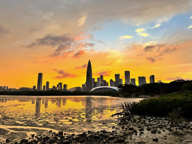 《人才公園的日落美景》