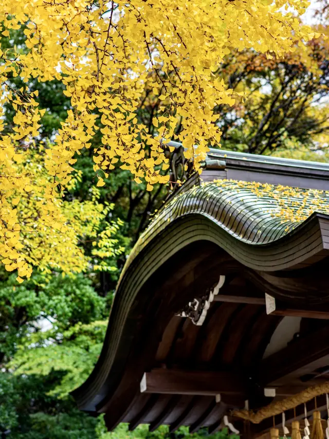 名古屋點玩最啱？經典路線規劃全解