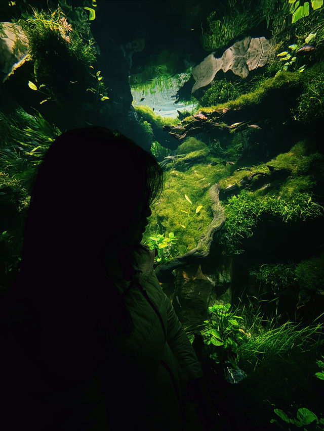 上海溫室花園🪴