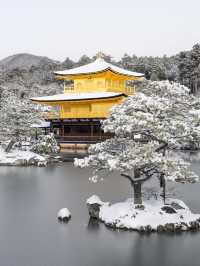5天玩轉日本 超詳細行程攻略