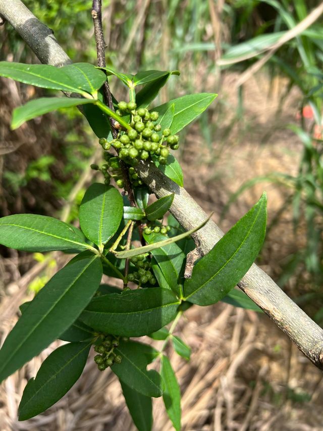湖南湘潭金霞山｜湖南「小九寨」