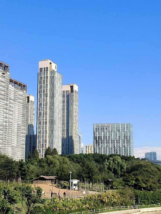 5日韓國遊 人均3k輕鬆玩轉熱門景點