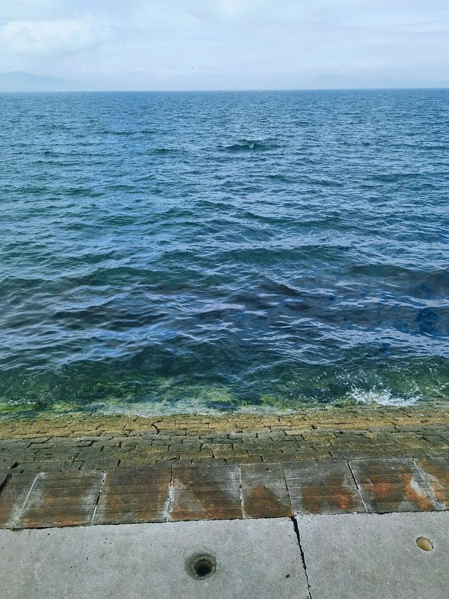 清明踏春 山東青島-威海-煙台遊玩攻略來啦