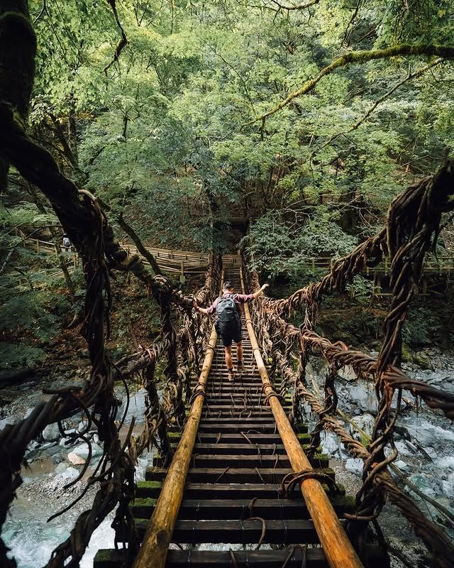 秘境探索：日本四國·祖谷溪 