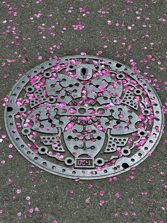 蔵前神社巡り⛩️｜東京のパリミモザ？