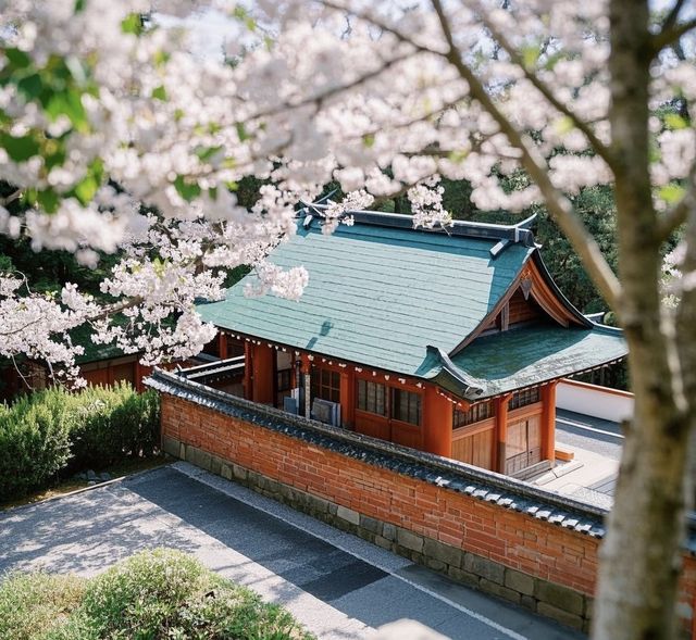 鬼斧神工木の國：尾鷲木匠的千年榫卯密碼