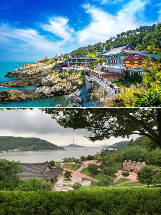 韓國莞島郡超全攻略！必看