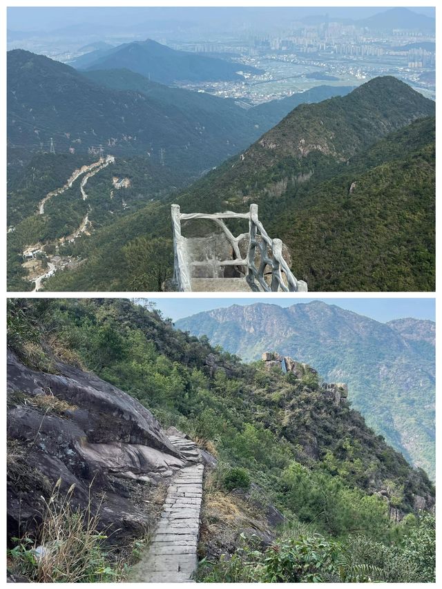 金堡山茶園爬山欣賞自然景觀別有一番情趣