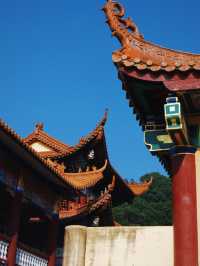 3日春遊九寨溝—黃龍 賞熱門風景正當時