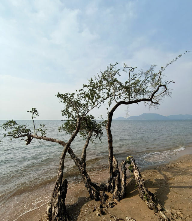 越南河仙｜小眾海濱的悠然探索