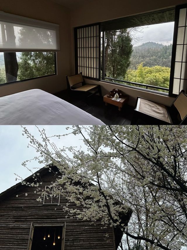 成都周邊｜春日去山裏小住吧！