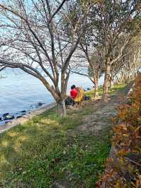 上海1小時車程丨週末賞油菜花勝地 人流少