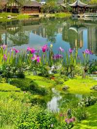 走進現實版莫奈花園就在成都