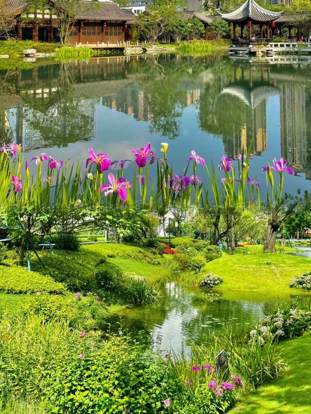走進現實版莫奈花園就在成都