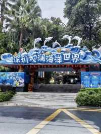 海底奇境的夢幻漫遊：觀瀾海洋世界的一日