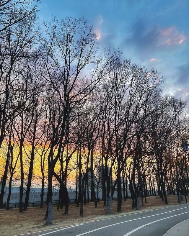 闖進現實版莫奈花園，邂逅高陽市的浪漫