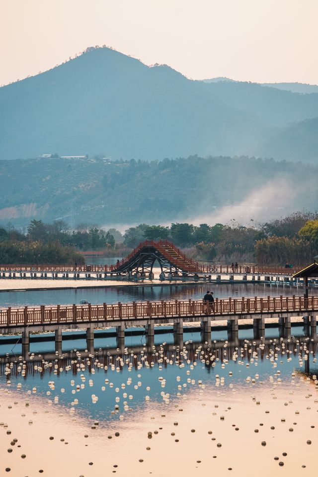 低調又小眾的異龍湖石屏旅行意外的收穫