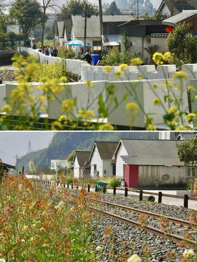什邡仙居山 | 仲會二刷嘅吸氧徒步地
