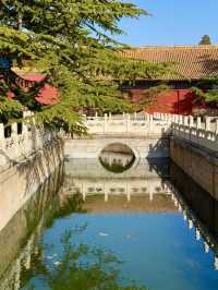 北京玉蘭天花板還是得看太廟