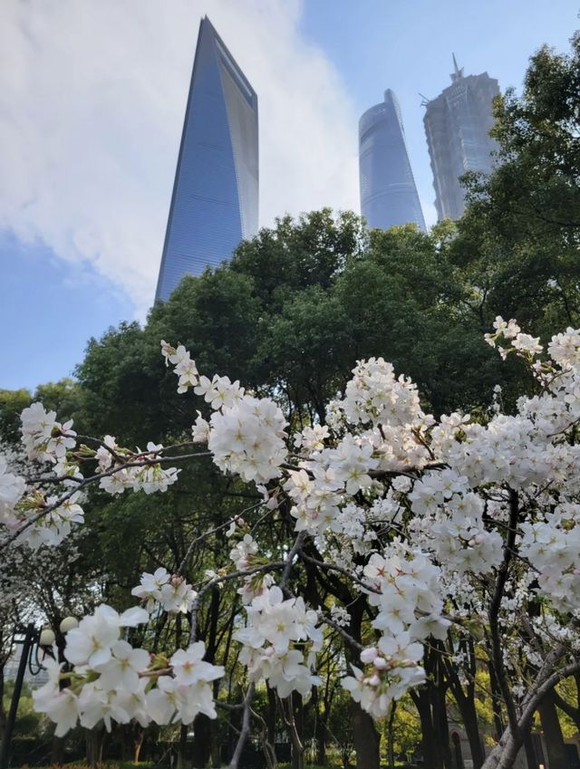 街頭翻新花樣，影到一張超靚嘅明珠盆景🪴相