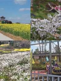偷偷告訴你 | 春日賞花一定要去