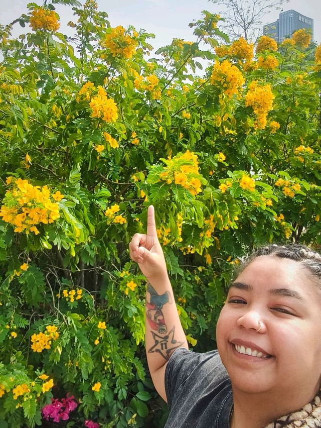 ITS STILL SPRING IN LOTUS PARK 🌷🌻🌺