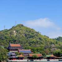 珠海必看！圓明新園下一個免費爆火打卡點‼️