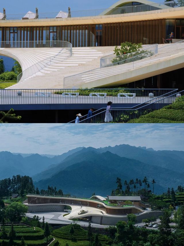 三峽茶旅小鎮：山水與茶香的邂逅