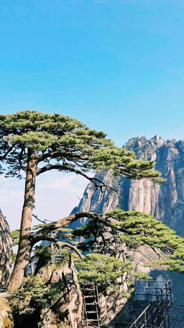 「黃山歸來不看嶽」 「黃山歸來不看嶽」