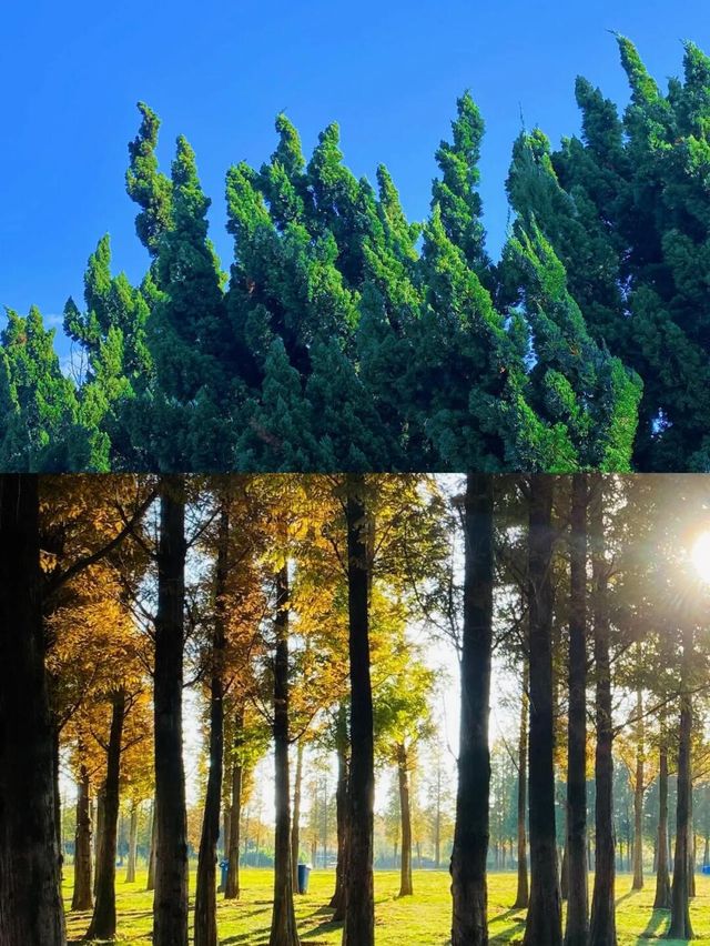 雲南潑水節狂歡住這兒！滇池畔野奢親子天堂