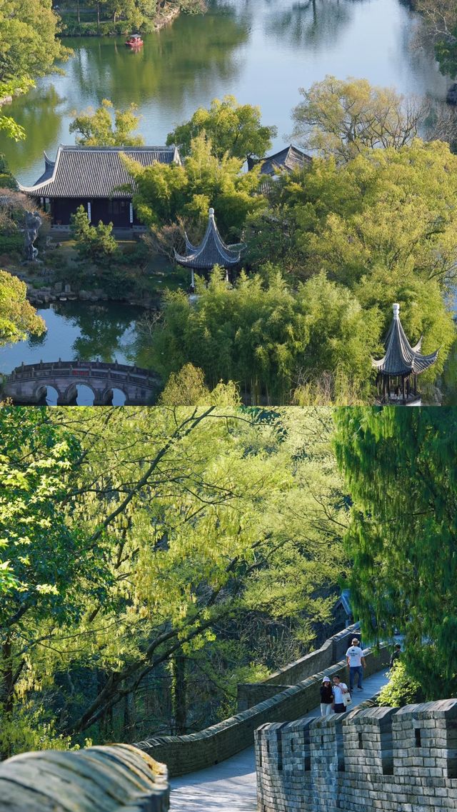 山海交響，舌尖漫遊：我的台州三日奇幻之旅 