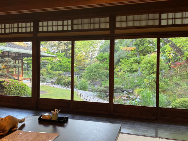 大阪絕美庭院懷石料理探店🍱