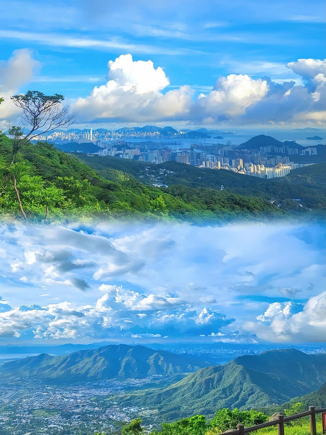 璀璨東方之珠｜香港必到打卡全攻略
