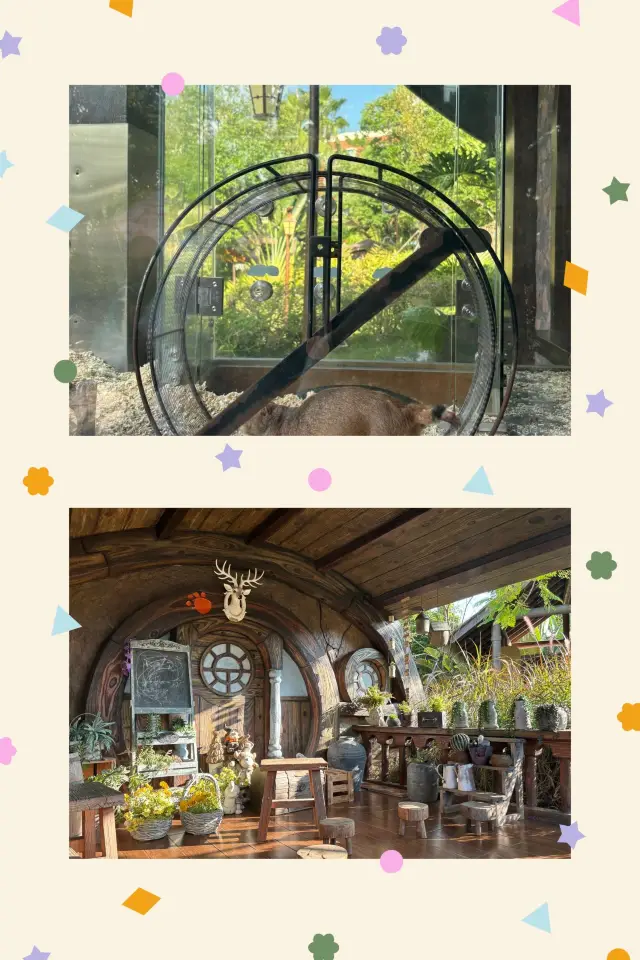 Zhuhai Hot Springs Travel Guide