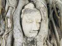 Quick 4 day tour of Bangkok